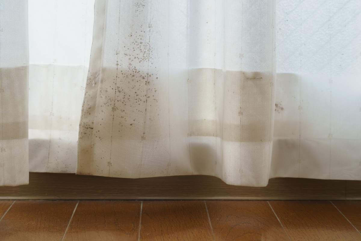 Delete the walls from walls and curtains: here's how