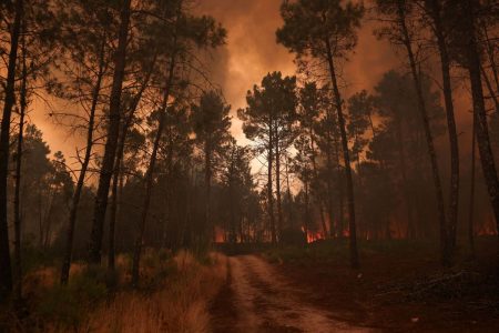 Fires: In flames in the midst of the heat of Spain, Portugal, Albania, Italy and Turkey - nightmarish images