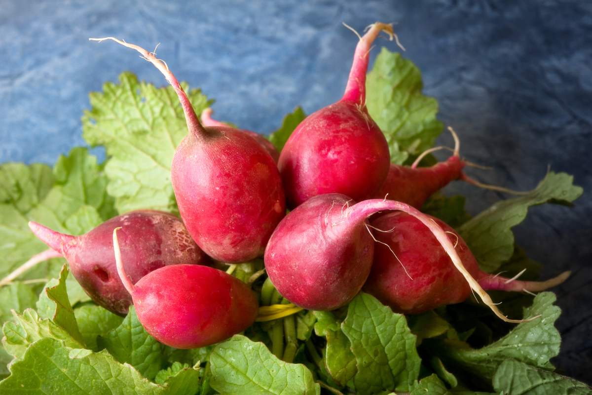 The 3 vegetables that grow well also in September