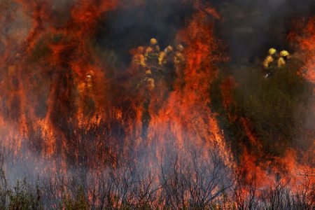 Fires: In flames in the midst of the heat of Spain, Portugal, Albania, Italy and Turkey - nightmarish images
