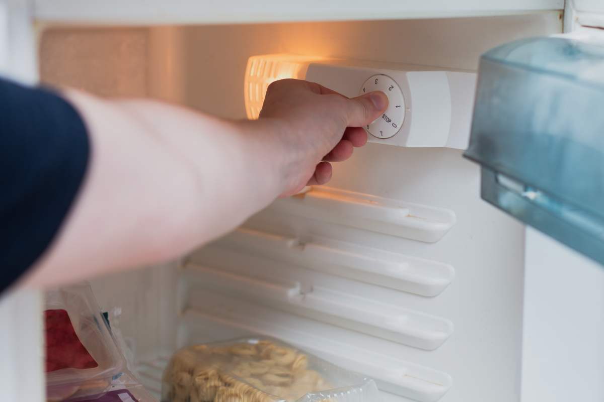 Save in a bill by fixing foods in the fridge well