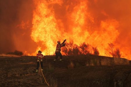 Fires: In flames in the midst of the heat of Spain, Portugal, Albania, Italy and Turkey - nightmarish images