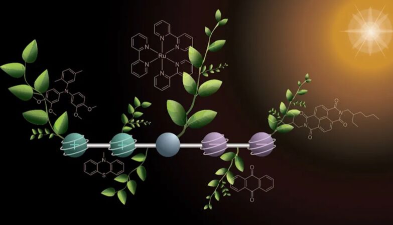 Synthetic photosynthesis: Scientists create molecule that produces energy like plants