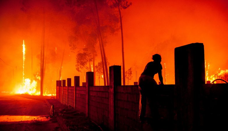 This year have already burned over 25 Lisboas in Portugal