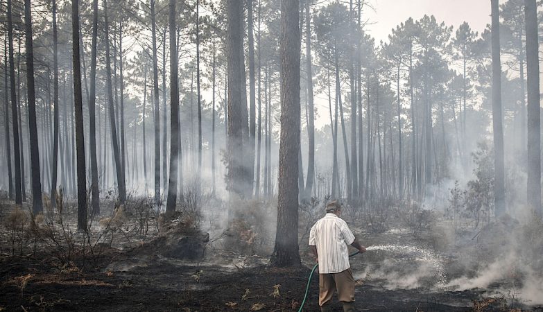 Five weeks later, there is no active fire in Portugal-but the danger remains