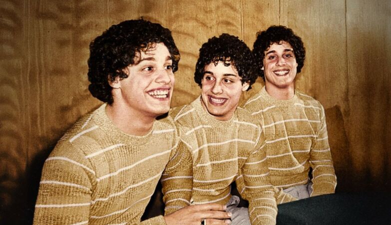 The tragic history of the triggins that were separated for a psychological study