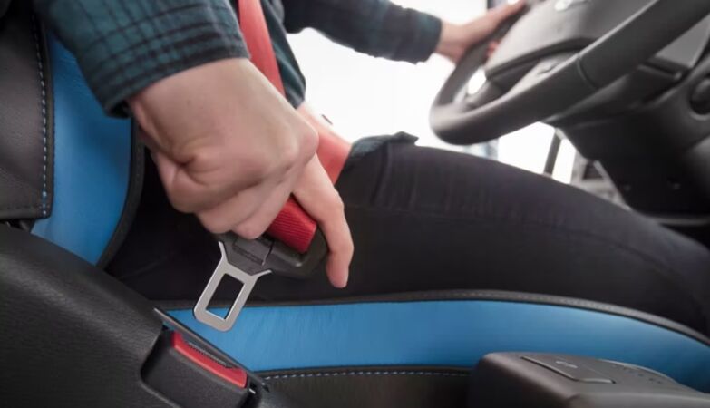 Congratulations to… seat belt - but the eyes are already in what comes in 2026