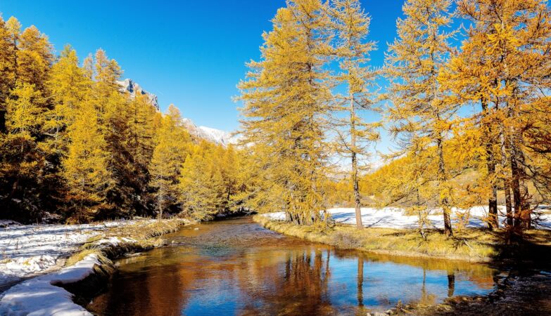 Scorching days and tropical nights are changing the lives of the Scandinavians completely
