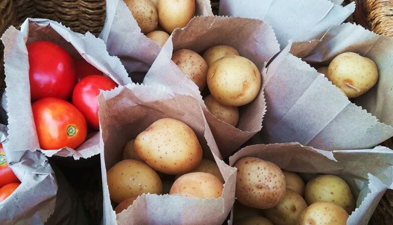 Surprise: The potato was born from the meeting of a tomato ancestor with a wild flower