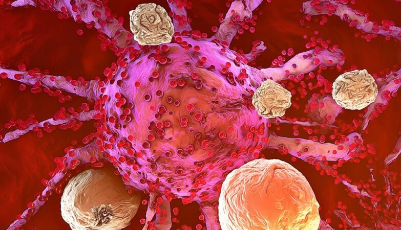 Because immunotherapy does not work in some patients with cancer: fault of autoantibodies