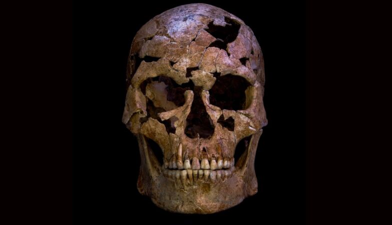 He died 12,000 years ago - hit by an exotic arrow that broke him an “extra” rib