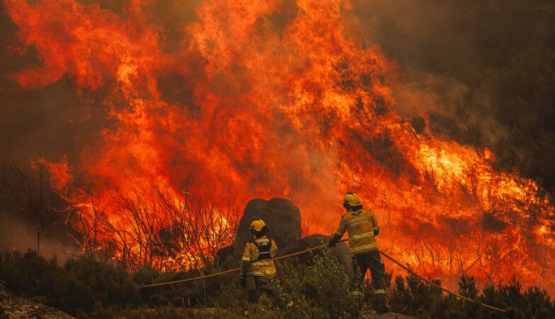 “It was born to be great” and continues not to give respite. Arganil is the only great active fire