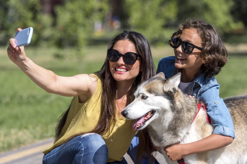 Tavira joins the national campaign against animal abandonment