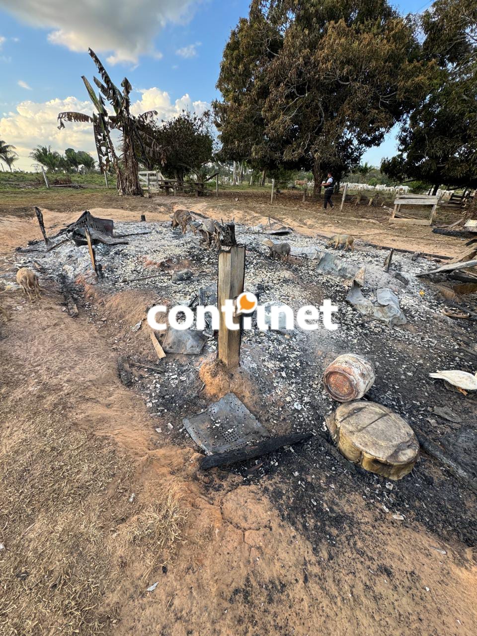 Five fugitives from Rio Branco prison are found charred on the border between Acre and Bolivia