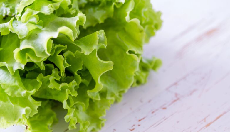 Very simple trick prevents lettuce from rotting