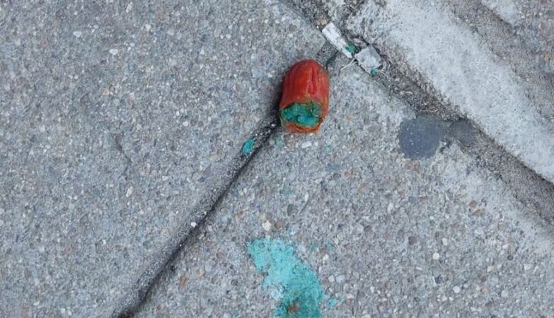 False sausages on tours have poison; cases increase in the port, a dog has already died