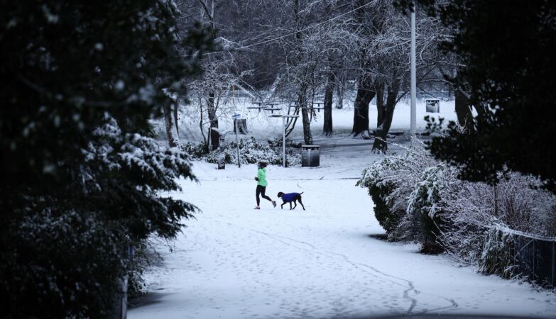 In the future snow will fall in Lisbon as in New York. IPMA Explains