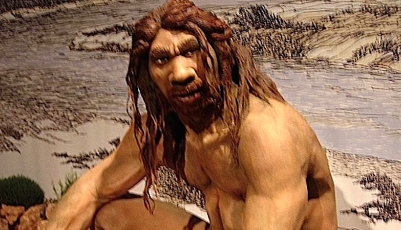 Neither human nor Neanderthal. The mysterious Petralona man is 300,000 years old