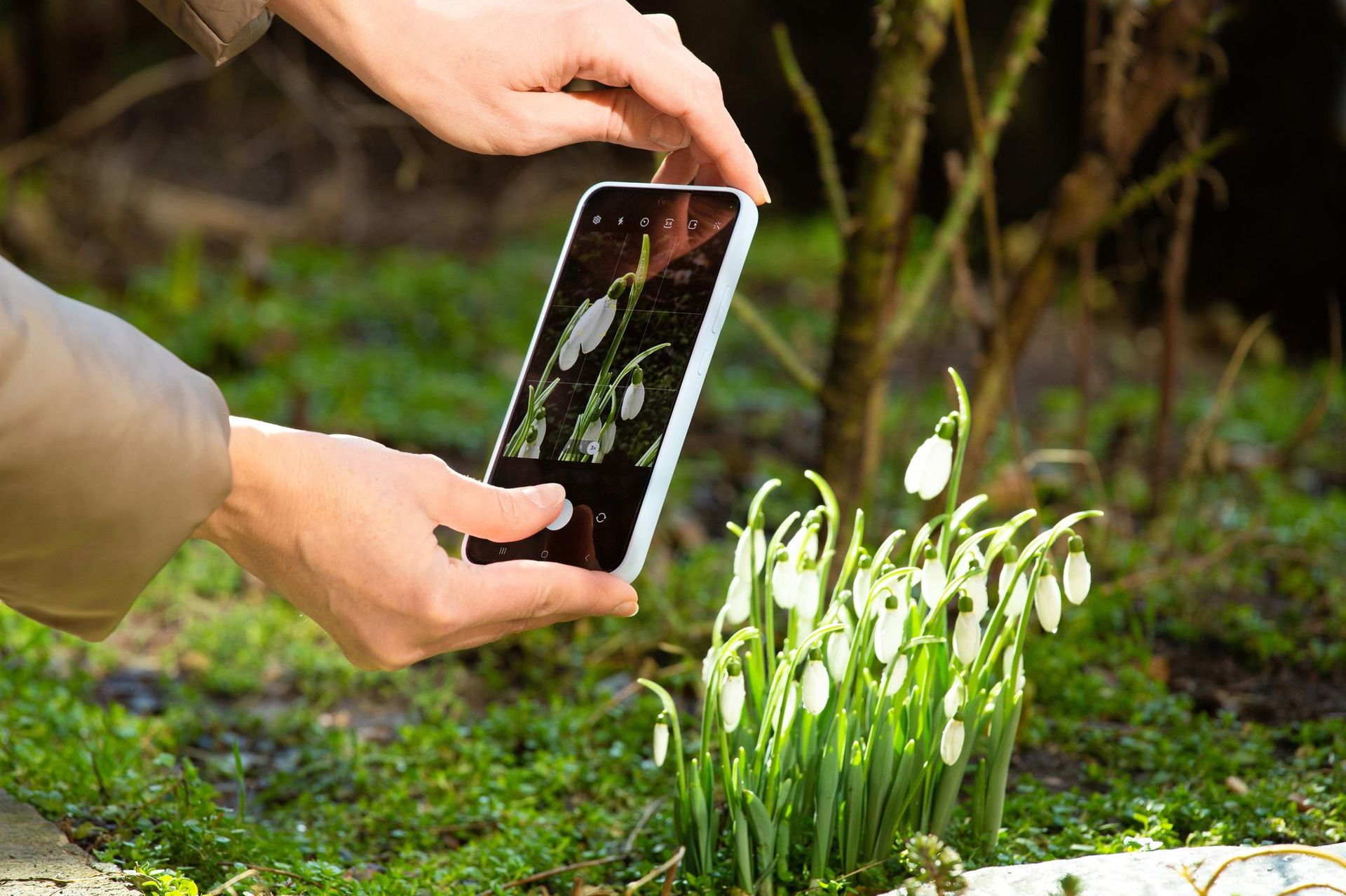 Autumn in the garden these plants suck in the garden in autumn! Thanks to this, you will replace the gray and faded the garden in a fabulous land. Flowers that can be planted in September