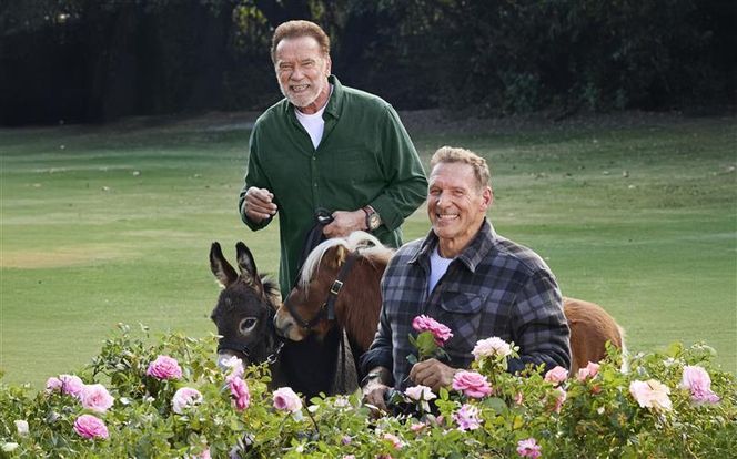House Strength in a common action: Parkside connects Arnold Schwarzenegger and Ralf Moeller in the new DIY campaign