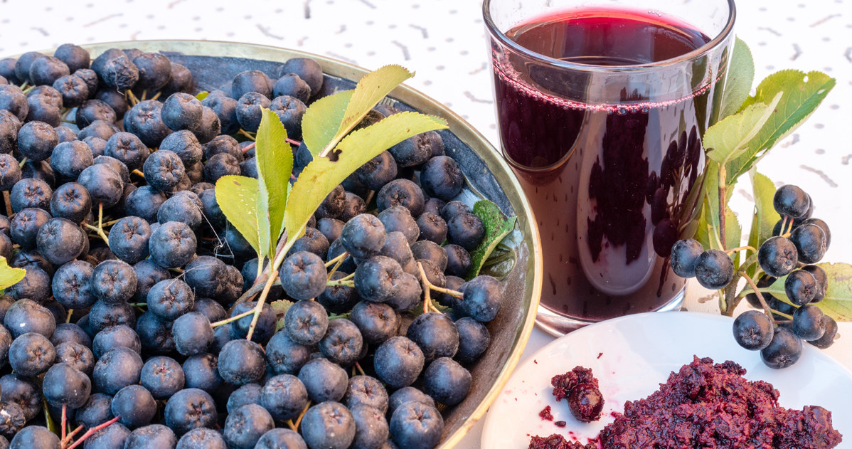 Many people avoid chokeberry in the kitchen, because they are associated with a bitch and a bitter aftertaste. However, it turns out that a simple trick is enough to get a delicious, naturally sweet juice without an unpleasant aftertaste. /123RF/PICSEL