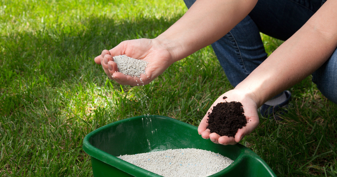 In autumn we must ensure fertilization of the pitch /123RF /PICSEL