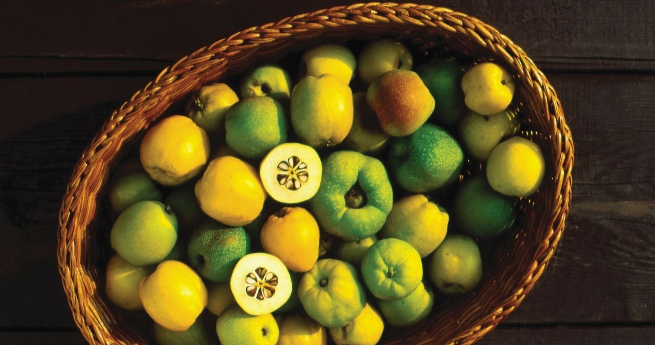 Japanese quince is a real treasury of vitamin C /Jerzy Romanowski /East News /East News