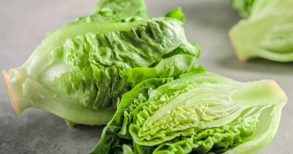 Roman lettuce contains a lot of vitamins and valuable elements, so it's worth including it in your daily diet /123RF /PICSEL