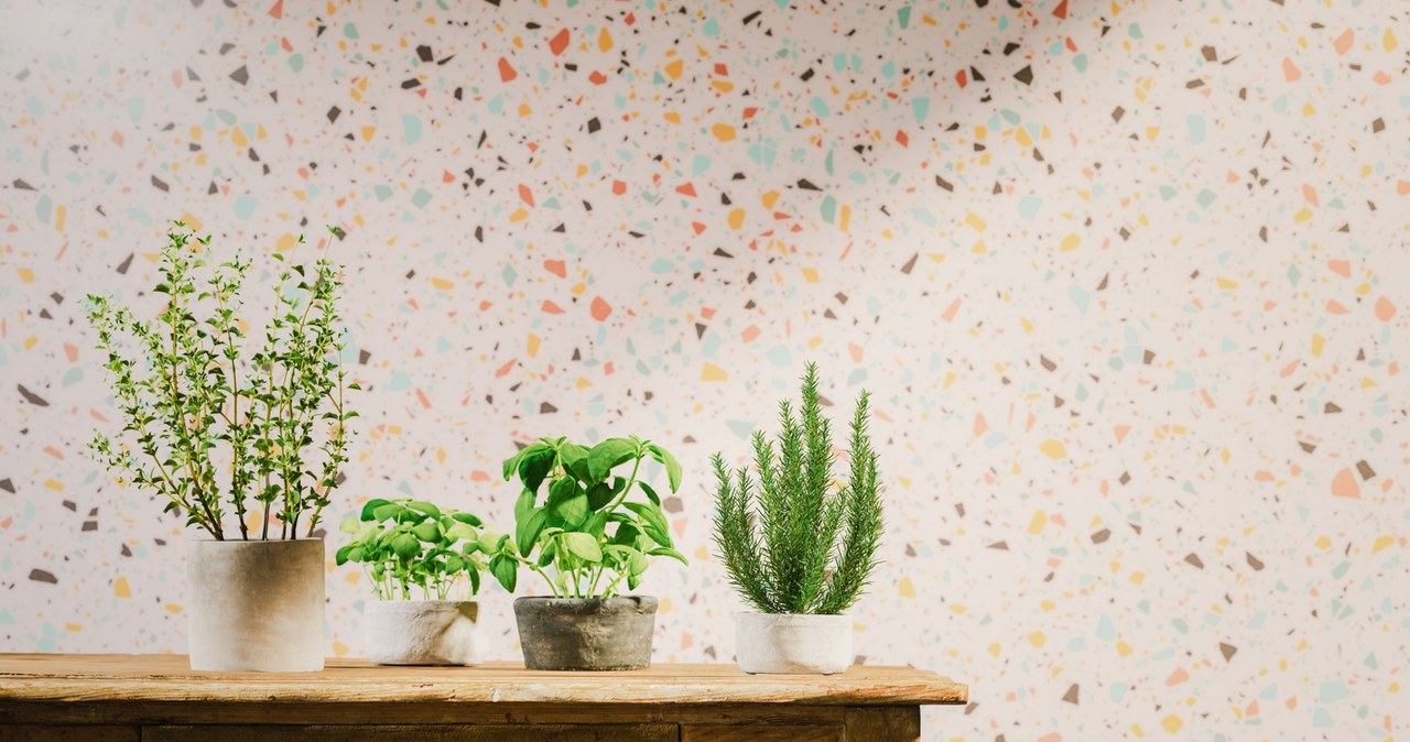 Lastry will work for many interiors. It is a sophisticated mix of cement and aggregate, which can take various shapes, textures and colors. /Pixel