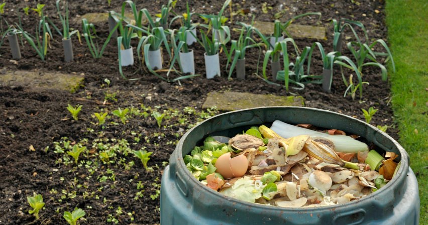 Eat some for dinner and put the rest into the composter. The effect will surprise you