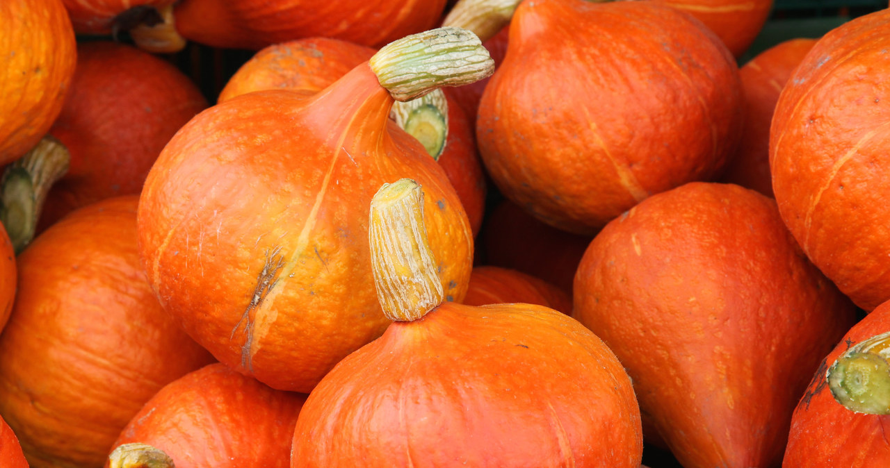 This is the best pumpkin for soup and pancakes. You don't even have to peel it