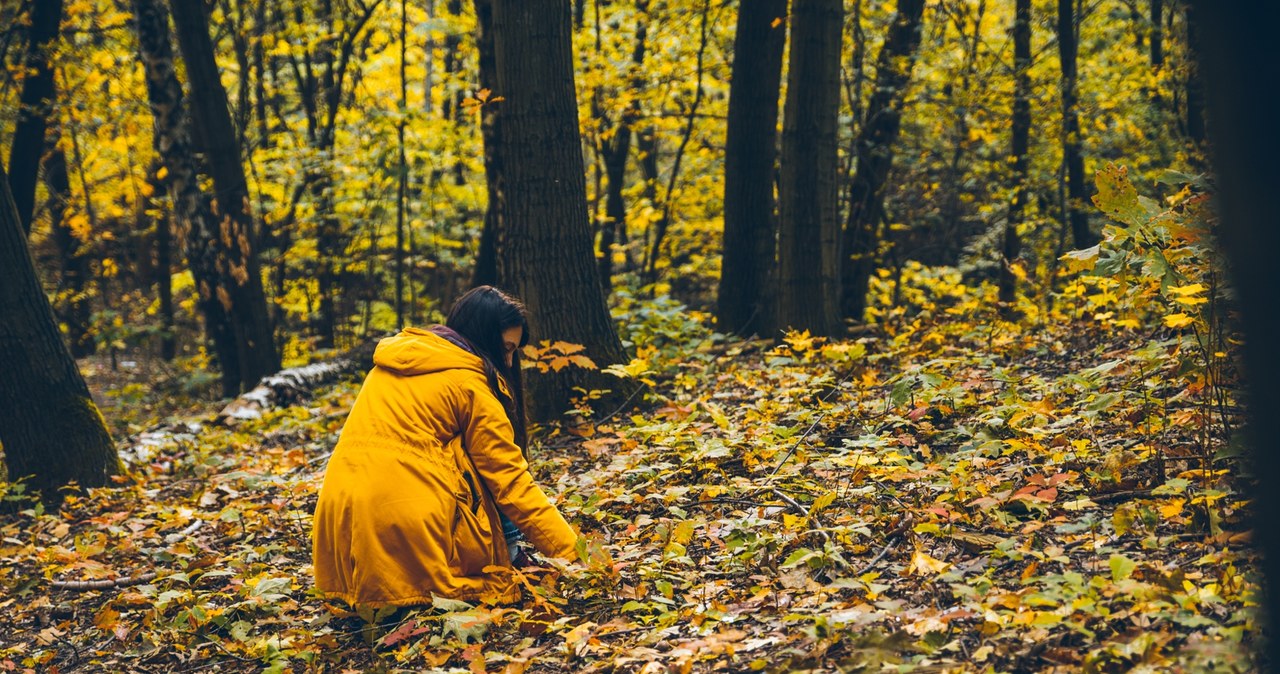 Collect it on the first day of autumn. Happiness will not leave you by the end of the year
