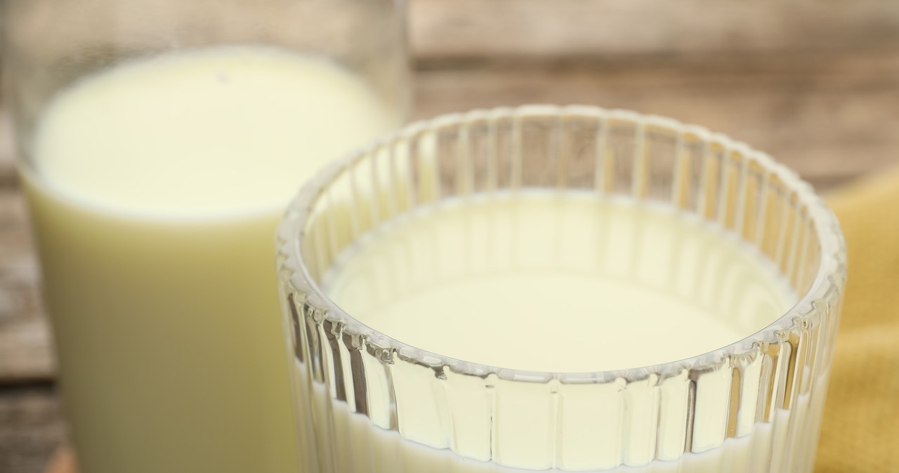 Neither oat nor soy. This milk has no lactose and helps in slimming, perfect for coffee