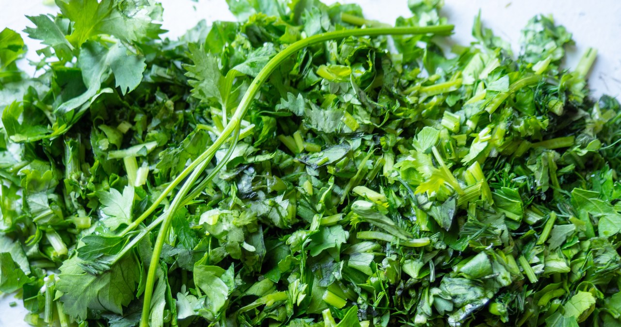 It improves vision, circulation and cleanses the body. In broth, you can also make pesto and salads