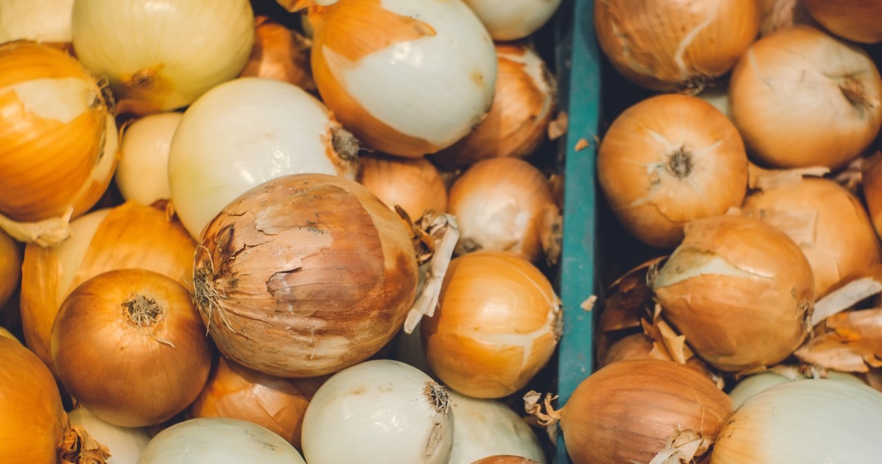 The mother -in -law stores the onion only in this way. It is fresh up to half a year