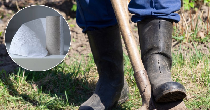 Instead of throwing away, cut into pieces and a burial in the garden. You will thank you quickly