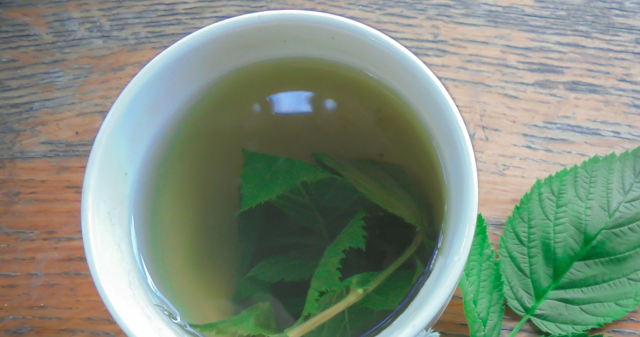 We are delighted with fruit, and the leaves are also super healthy. You will make them tea for immunity and abdominal pain, it will help with high fever