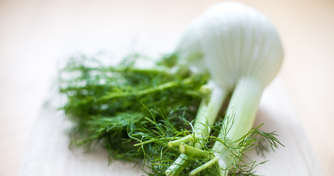 Celery cousin, but still strangers in our kitchen. Accelerates digestion and metabolism, perfect for heartburn