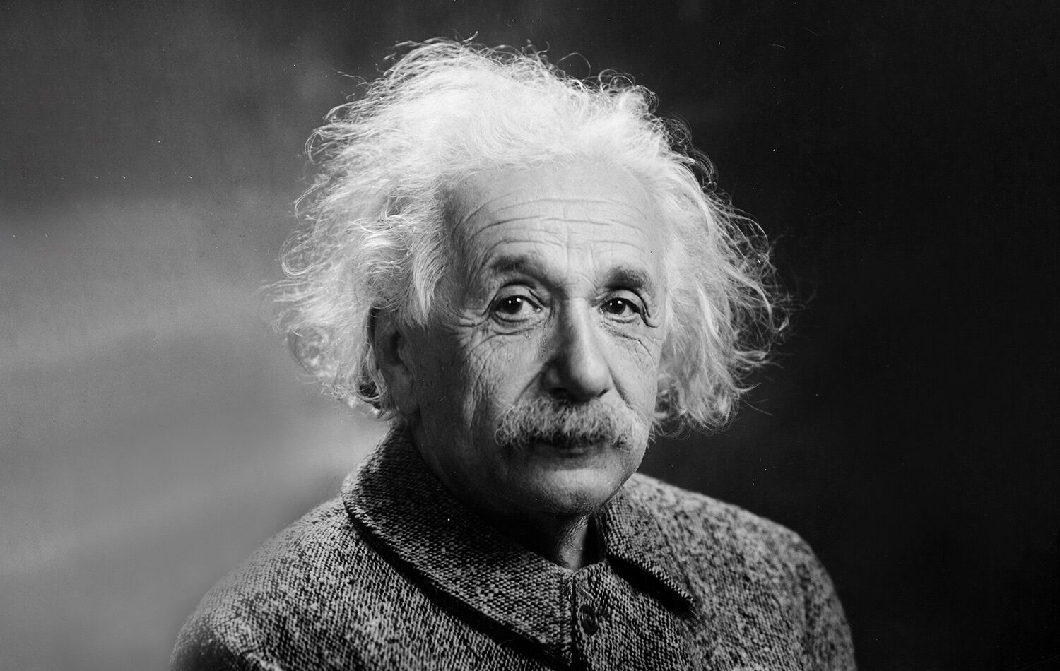 Einstein brain preserved 70 years ago is useless. New Chinese technique can decipher it