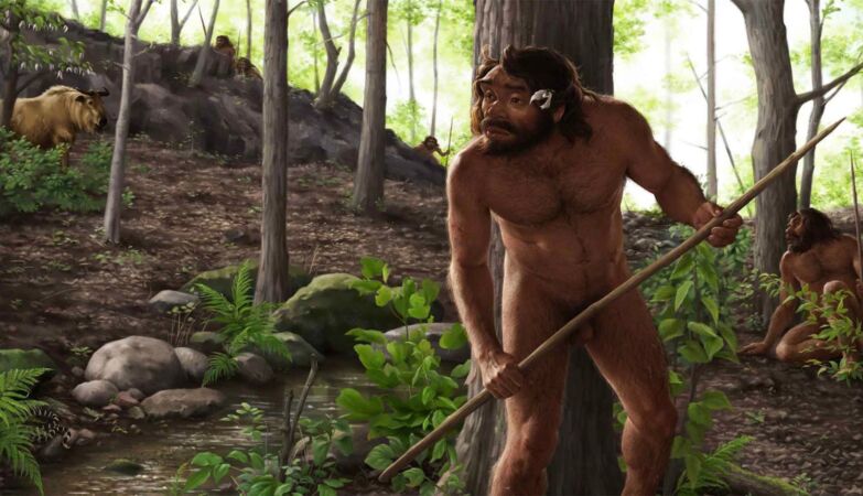 Skull with a million years gives surprising clues about our enigmatic ancestor X