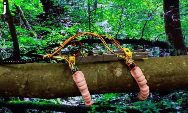 Artificial muscles are adaptable - and will originate cheaper robots