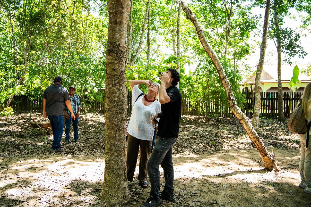 Export more Amazon: Jorge Viana takes 25 buyers from 18 countries to immersion in the forest