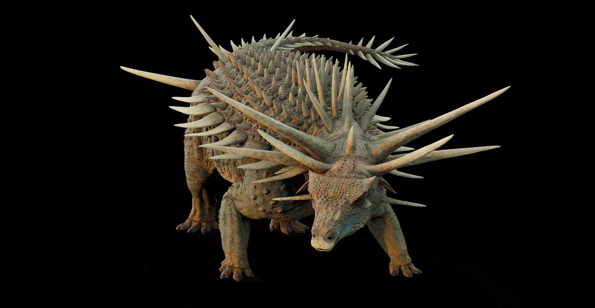 Incredible dinosaur with thorns armor rewrite the history of evolution