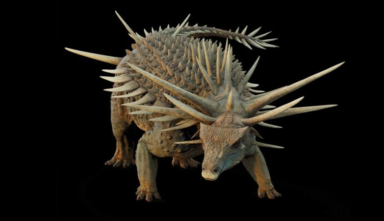 Incredible dinosaur with thorns armor rewrite the history of evolution