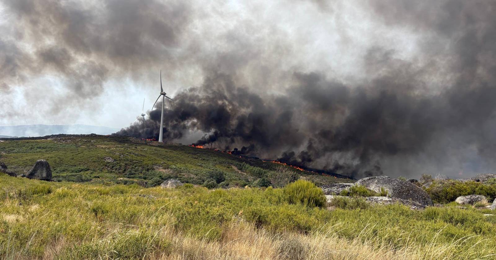 Fire in the Castro Daire region mobilizes hundreds of means