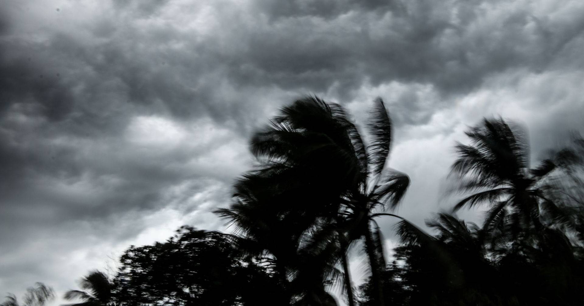 Gabrielle Cyclone: ​​Largest registered wind gust was 123 km/hour in Faial