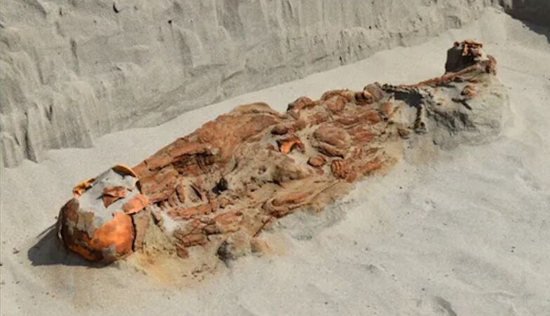 Found “strange” skeletons in the turkey with strings in the neck and hands tied to the back