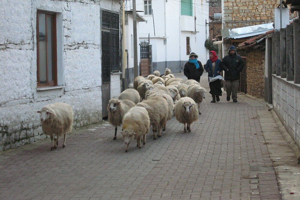 Do not trust Google Maps in Albania