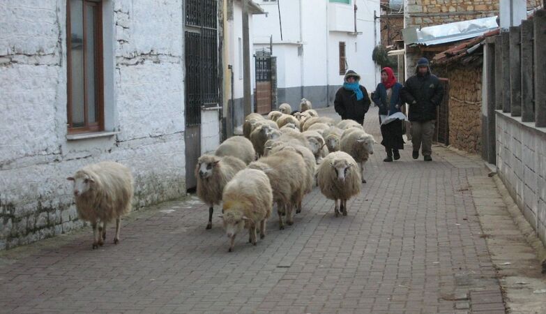 Do not trust Google Maps in Albania