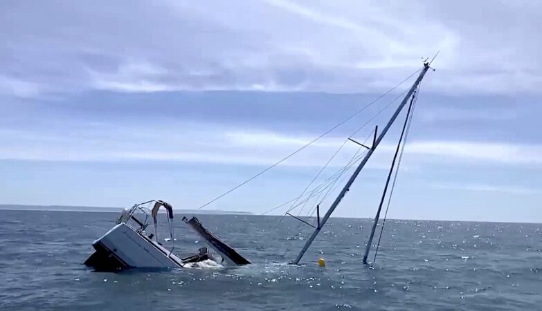 Orcas attack sinks sailboat on Costa da Caparica